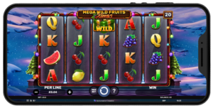 Mega Wild Fruits Xmas - Slot Features