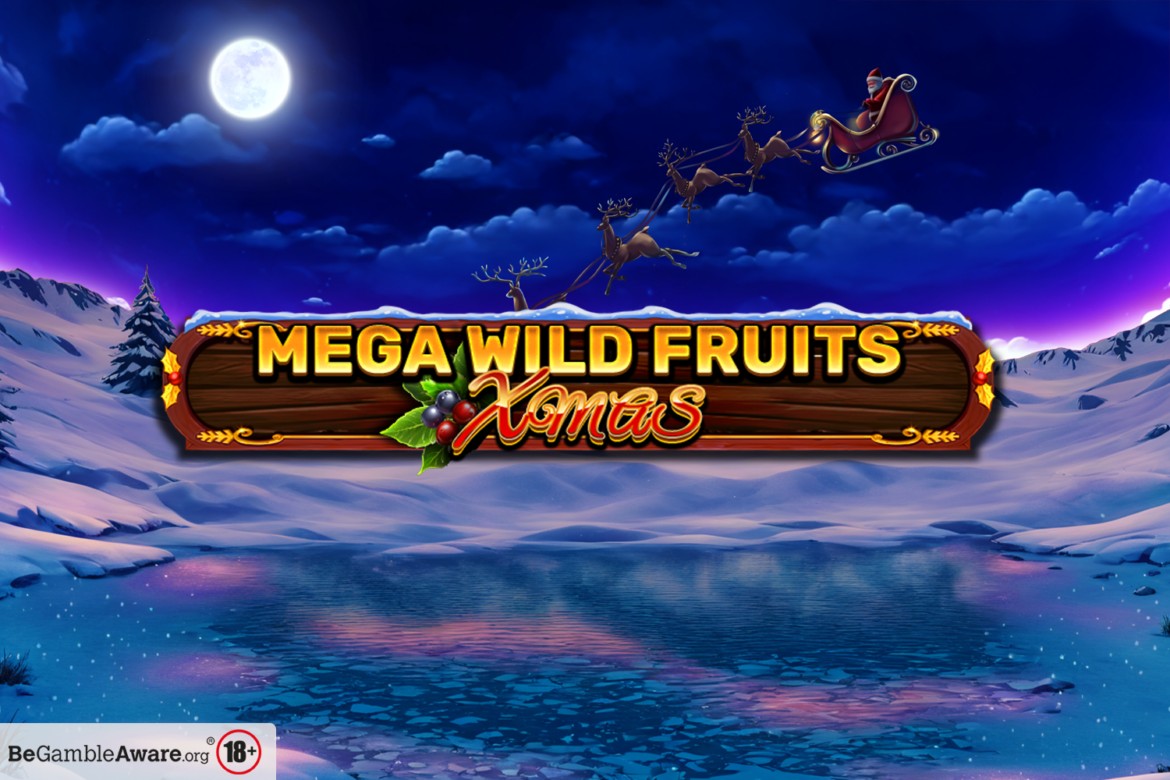 Mega Wild Fruits Xmas - Slot Features