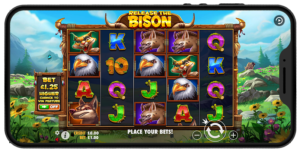 Release The Bison - Slot Features